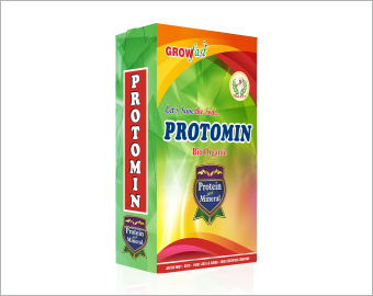 Protomin